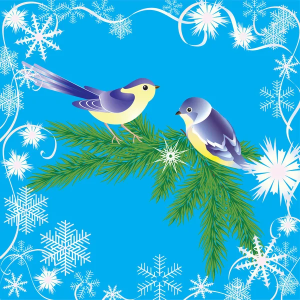 Winter frame and birds. — Stock Vector