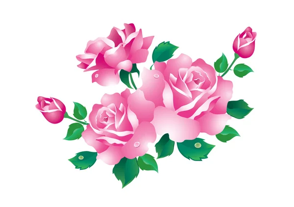 绿色的树叶在白色背景上的粉红色玫瑰花 — 图库矢量图片