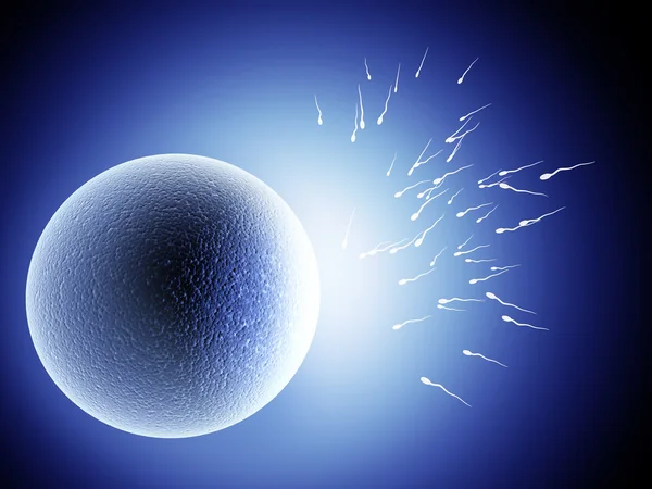Spermatozoons, plovoucí na vajíčko — Stock fotografie
