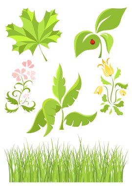 Vector summer collection - green grass, leaf and flower clipart