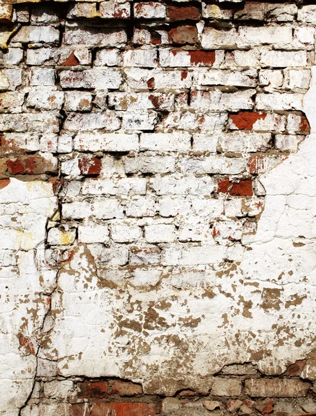 Grunge 纹理旧砖墙 — 图库照片