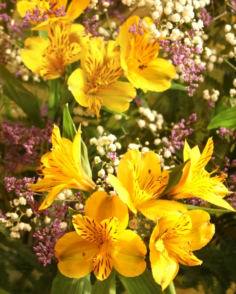 美しい黄色 Alstroemerias とブーケ — ストック写真