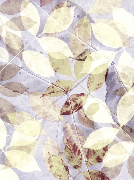 Grunge Background Green Leaves — Stock Photo, Image