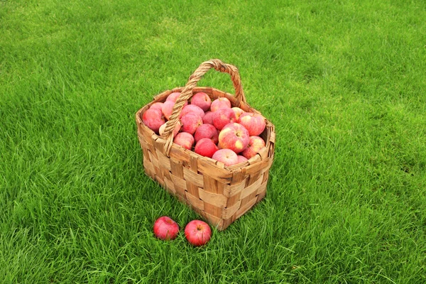 Обтинання яблука — стокове фото