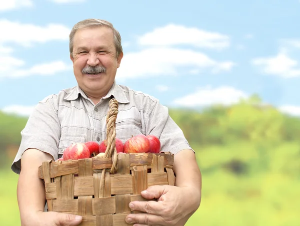 stock image Harvesting a apple