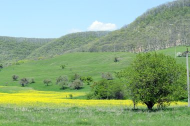 dağlarda çiçek Vadisi