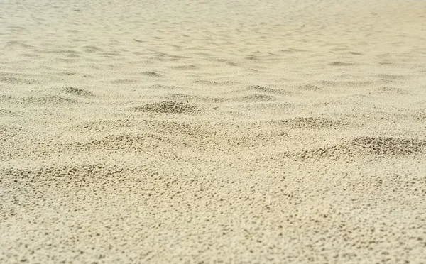Sand Efter Regn Med Poins — Stockfoto