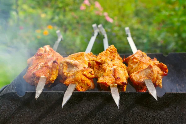 Barbecue Étvágygerjesztő Hússal — Stock Fotó
