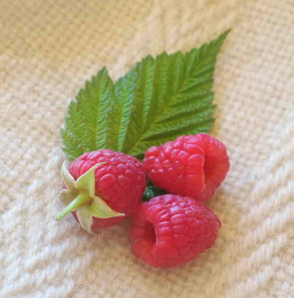 stock image Three raspberries on the white croched wool textile.