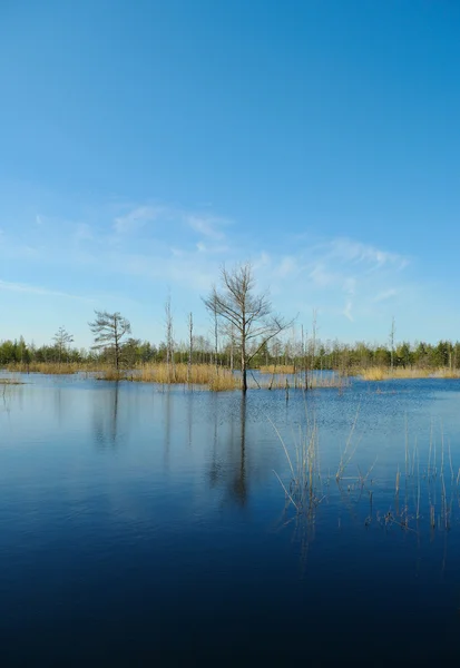 Blauer See Mit Ruhigem Wasser — Stockfoto