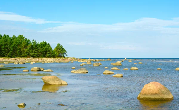 Küste mit großen Steinen. — Stockfoto