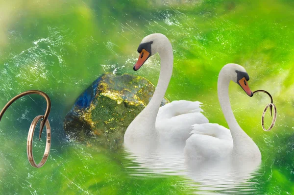 stock image Two swans and gold rings on a hooks.