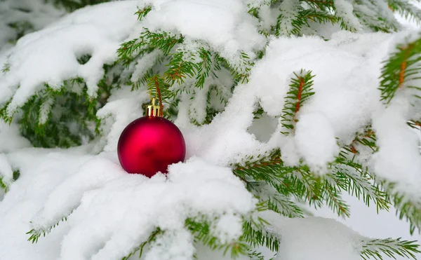 赤い装飾と雪のモミの木 — ストック写真