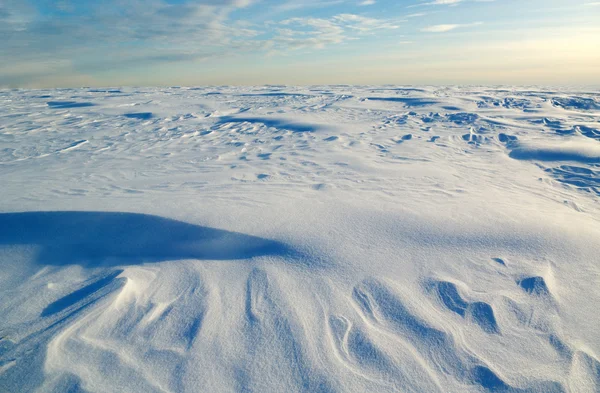 Поле Снегом Солнцем — стоковое фото