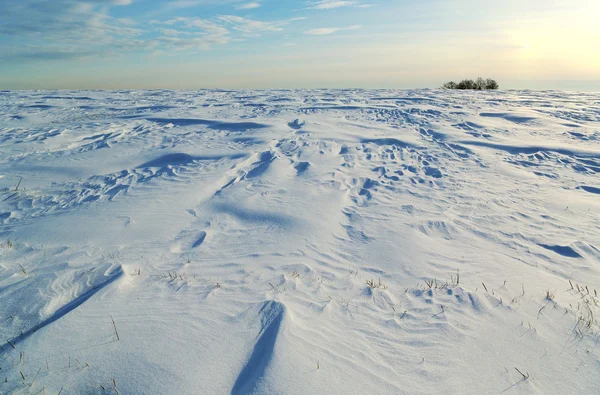 Feld Unter Schnee Und Sonne — Stockfoto