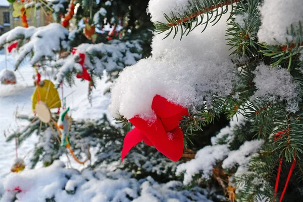 Árbol Abeto Decoración Navidad Con Nieve Natural Aire Libre —  Fotos de Stock