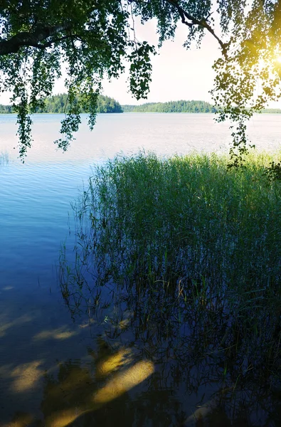 Raggio di sole sul lago . — Foto Stock