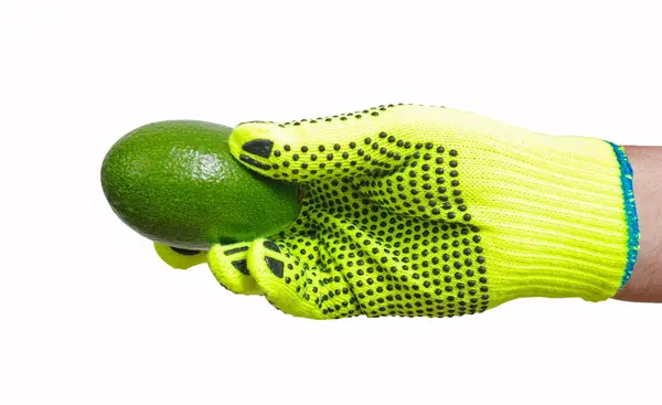 Avocado in a hand. — Stock Photo, Image