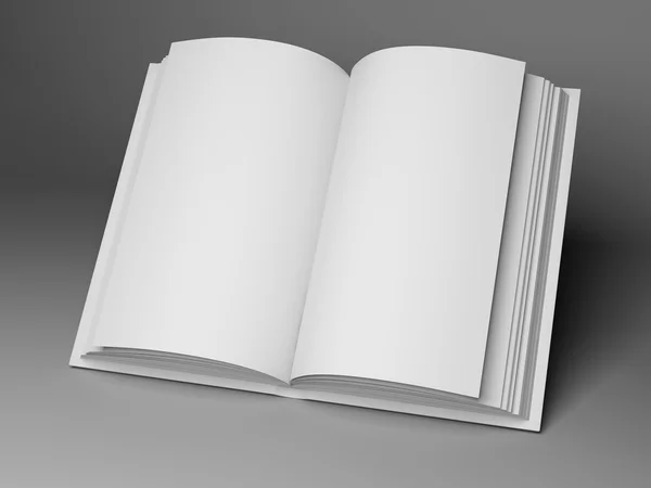 Libro aperto in bianco — Foto Stock