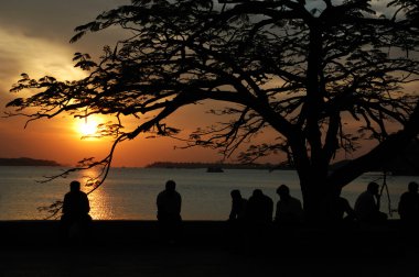 Sunset at Marine drive street,Cochi,Kerala,India clipart