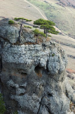 Pine trees at Demirji rocks, Ghost valley-famous landmark clipart