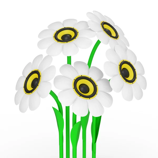 Heřmánek květ s audio reproduktor — Stock fotografie