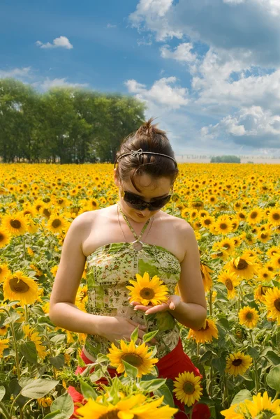 stock image The girl in the field