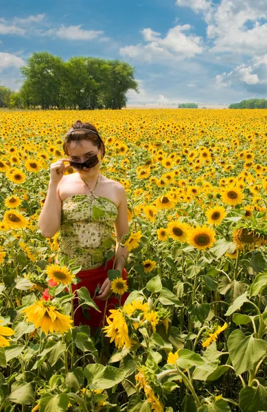 stock image The girl in the field