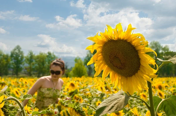 Stock image The girl in the field