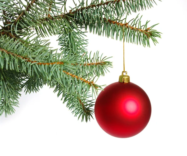 Χριστουγεννιάτικο δέντρο Εικόνα Αρχείου
