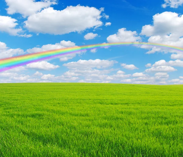 Campo y arco iris — Foto de Stock