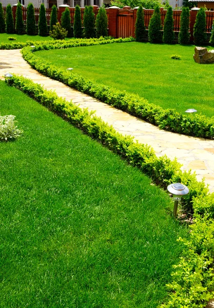 Primavera Grama Verde Jardim — Fotografia de Stock
