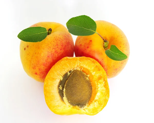 Rijp Abrikozen Met Een Leaf Witte — Stockfoto