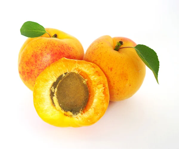 Ripe Apricots Leaf White — Stock Photo, Image