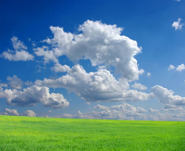 A mező és a fehér felhők — Stock Fotó