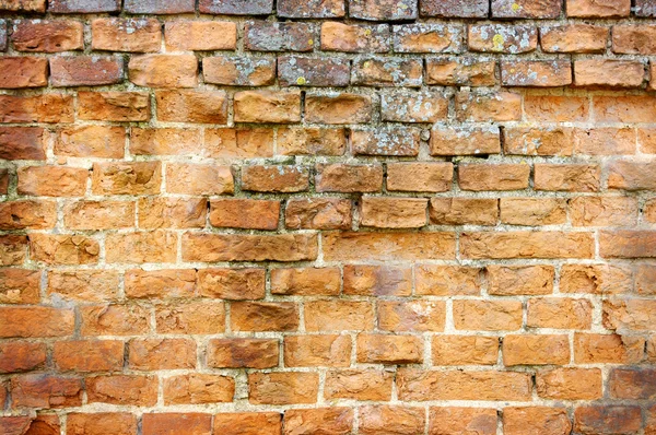 Старая стена — стоковое фото