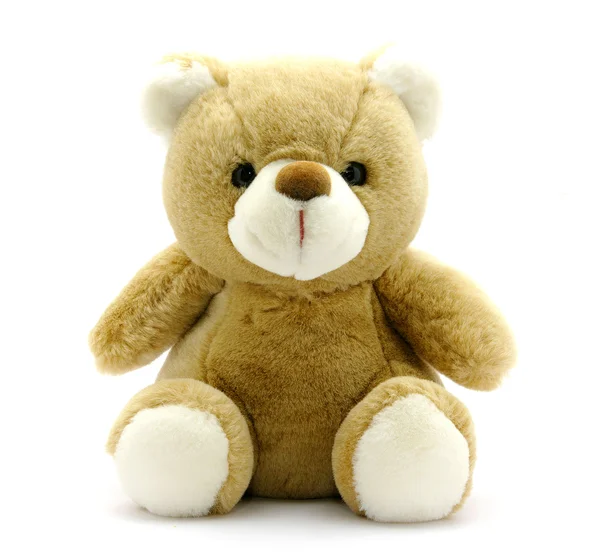 Urso Pelúcia Teddy Isolado Branco — Fotografia de Stock