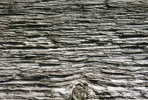 Braune Holzstruktur Mit Natürlichen Mustern — Stockfoto
