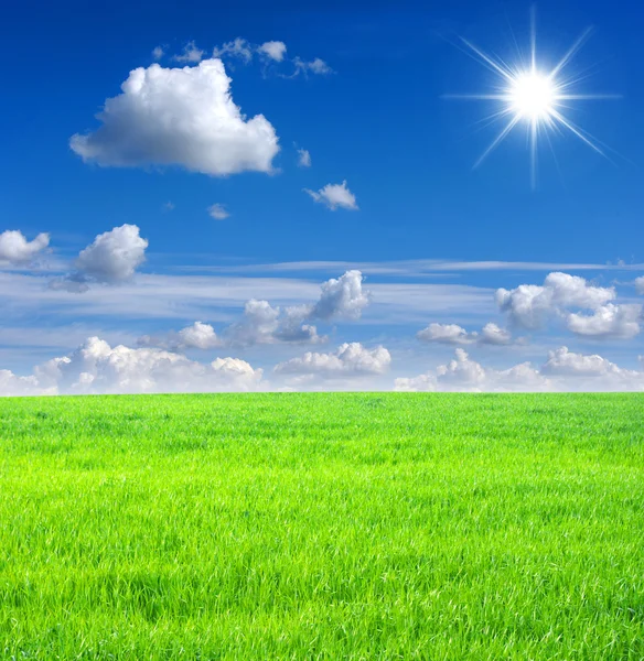 Yeşil Alan Güneş Gökyüzü — Stok fotoğraf
