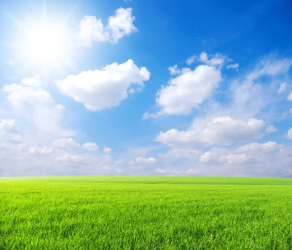 緑の野 青い空と太陽 — ストック写真