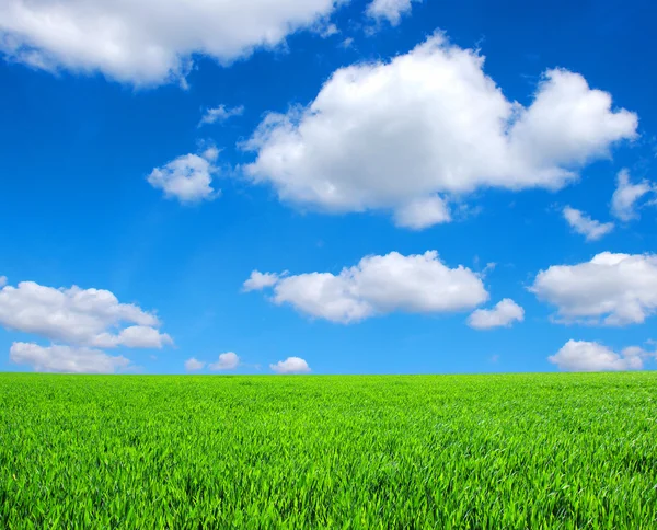 Fältet och moln — Stockfoto