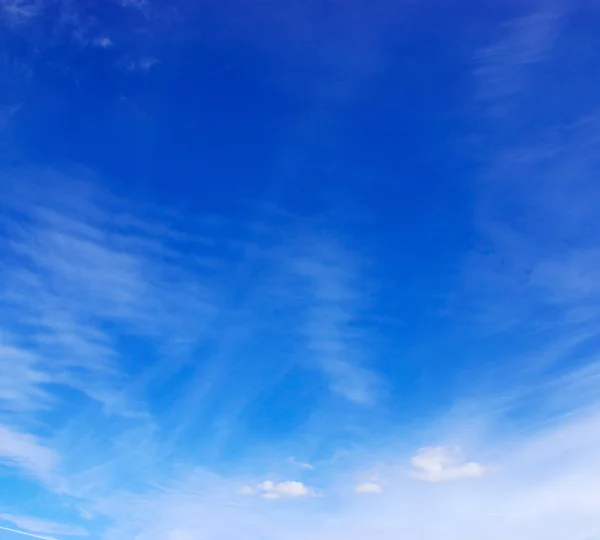 Nori mici — Fotografie, imagine de stoc
