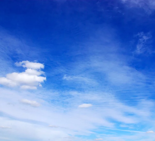 Nori mici — Fotografie, imagine de stoc