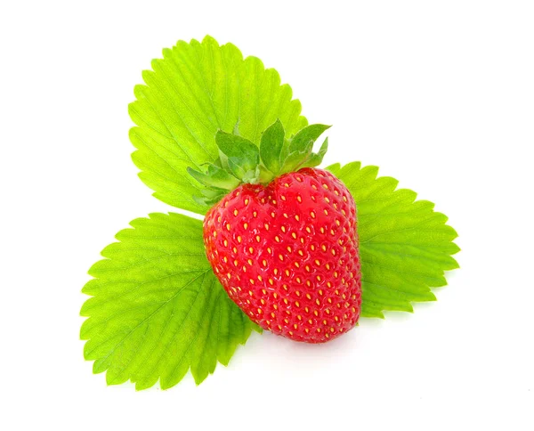 Jordbær - Stock-foto