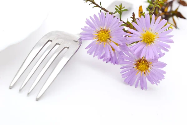 Fiore e forchetta isolati su fondo bianco — Foto Stock