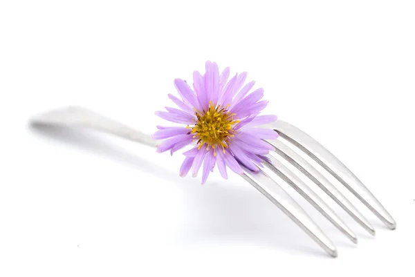 Flor y tenedor aislados sobre un fondo blanco — Foto de Stock