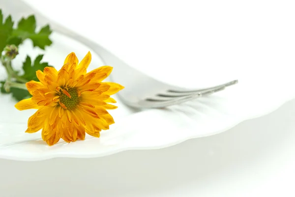 Fleur et fourchette isolées sur fond blanc — Photo