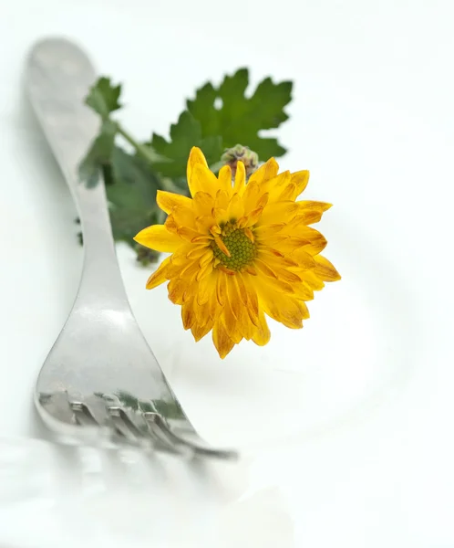 Blume und Gabel isoliert auf weißem Hintergrund — Stockfoto