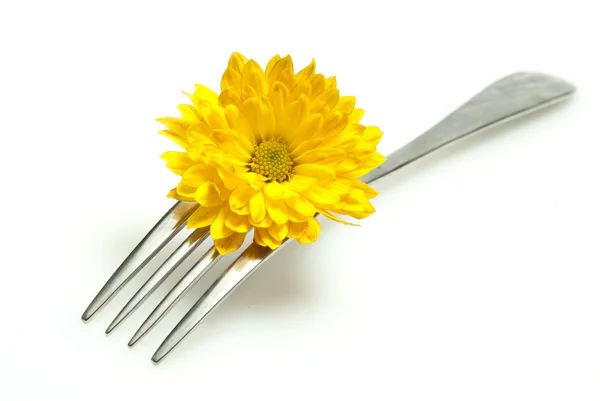Flowers and fork isolated on a white background — Stock Photo, Image