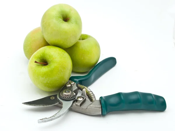 Зеленые яблоки и ножницы — стоковое фото